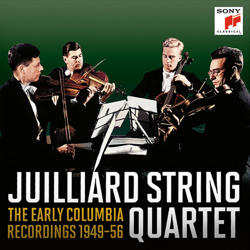 黑人把逼操出水的视频了
